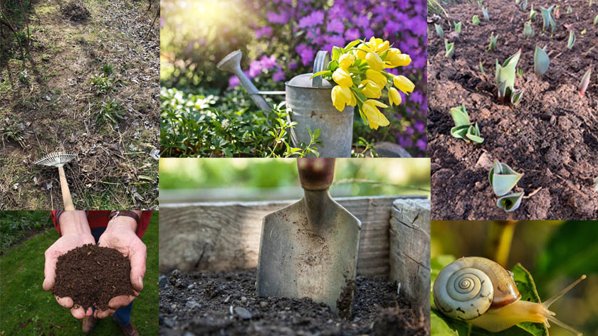 5 tips that you can apply in the spring flower garden
